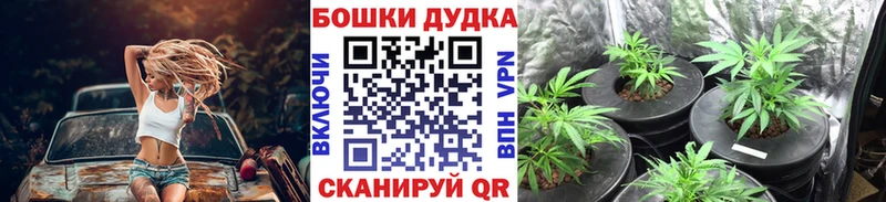 Сколько стоит Андреаполь COCAIN АМФЕТАМИН A-PVP Бошки Шишки ГАШ