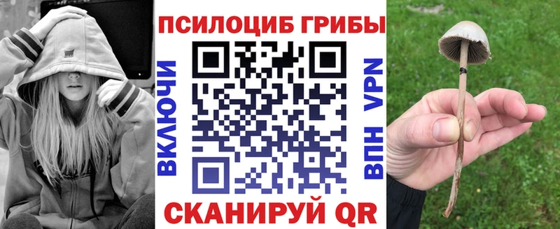 дарнет шоп  Андреаполь  Галлюциногенные грибы мицелий 